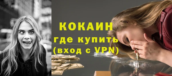 крисы Баксан