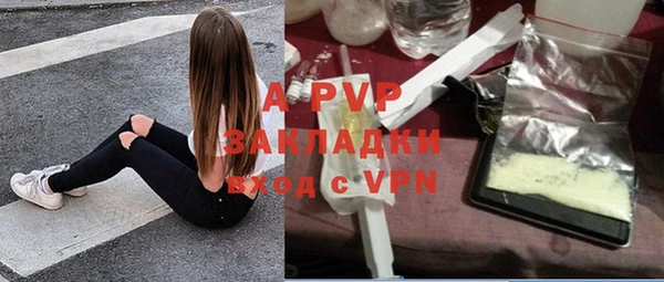 крисы Баксан