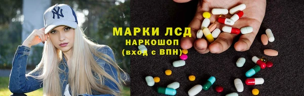 крисы Баксан