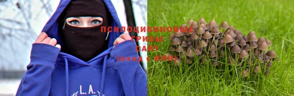 спиды Балабаново